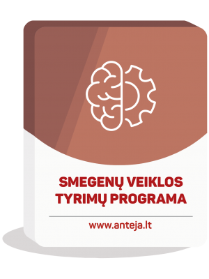 Smegenų veiklos programa